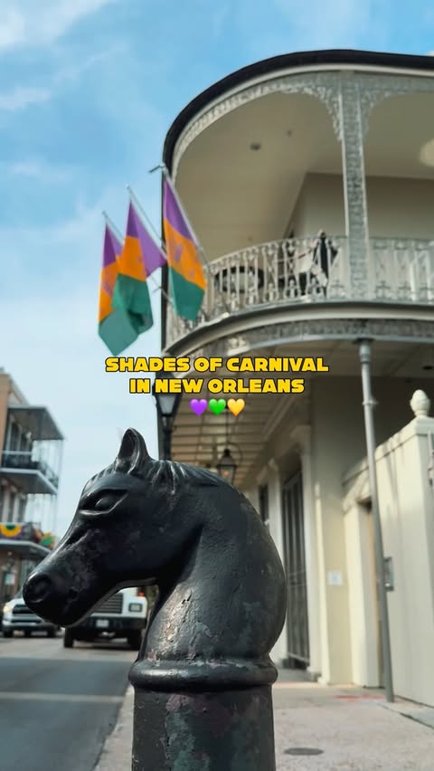 Instagram post by @pontchartrainconservancy for Visit New Orleans. Caption reads: Shades of carnival season in New Orleans💜💚💛....