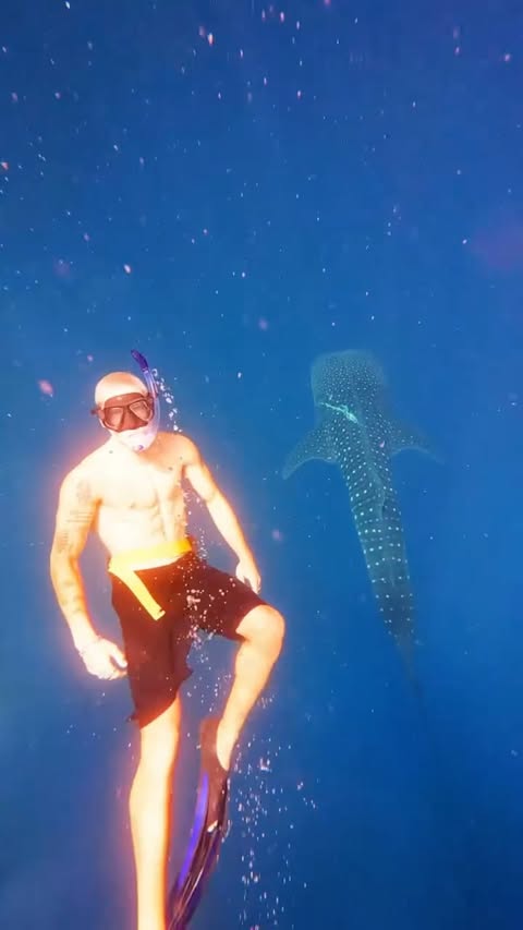 Instagram post by @taz_skylar for Visit Maldives. Caption reads: .