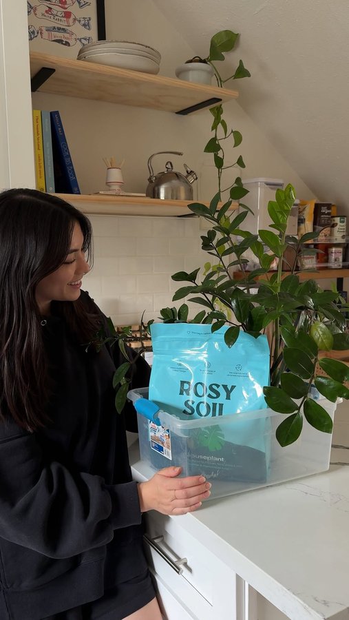 Instagram post by @nihaokylen for Rosy Soil. Caption reads: Update it’s been about a week since I repotted my....