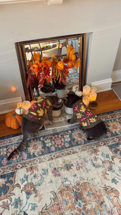 Instagram post by @laurenemilyjuarez for Wellness Pet Food. Caption reads: #ad | Embracing autumn with Bilbo and Baloo ✨🍁....