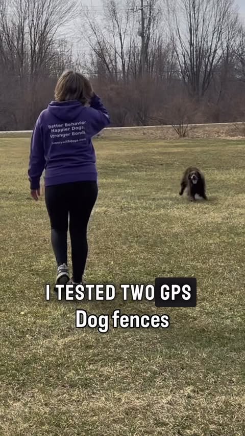 Instagram post by @rebeccadogtrainer for SpotOn Fence. Caption reads: I tested two GPS dog fences on the same property.....
