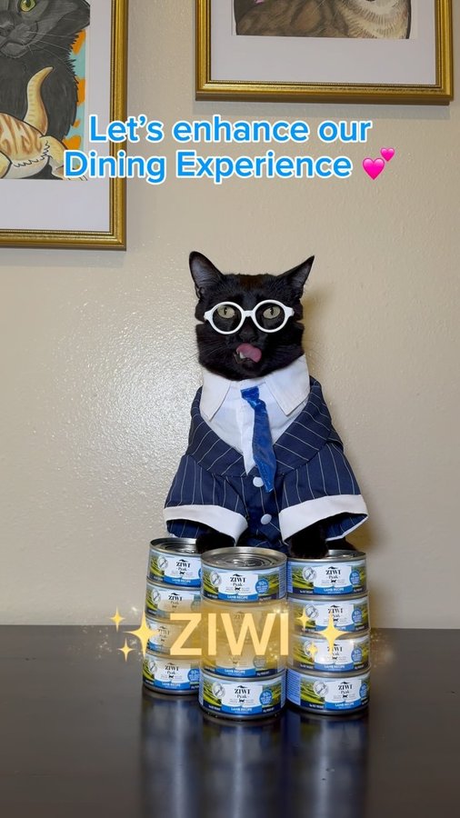 Instagram post by @mersha.theminipanther for ZIWI Pet Food. Caption reads: Let’s enhance our dining experience with ZIWI ! We....