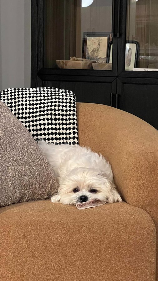 Instagram post by @sarah_wolak for Inkbox. Caption reads: #ad Get 20% off @inkbox sitewide!!! Order now....