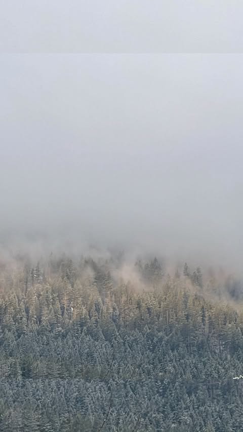 Instagram post by @izzydilg for Ardene. Caption reads: [...] ready for après ski season? 🥂❄️🎿....