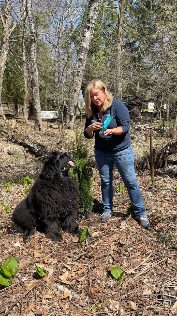 Instagram post by @impatientgardener for Earthborn Holistic Pet Food. Caption reads: Plant a tree with your pooch for Earth Day 🌎! #AD....