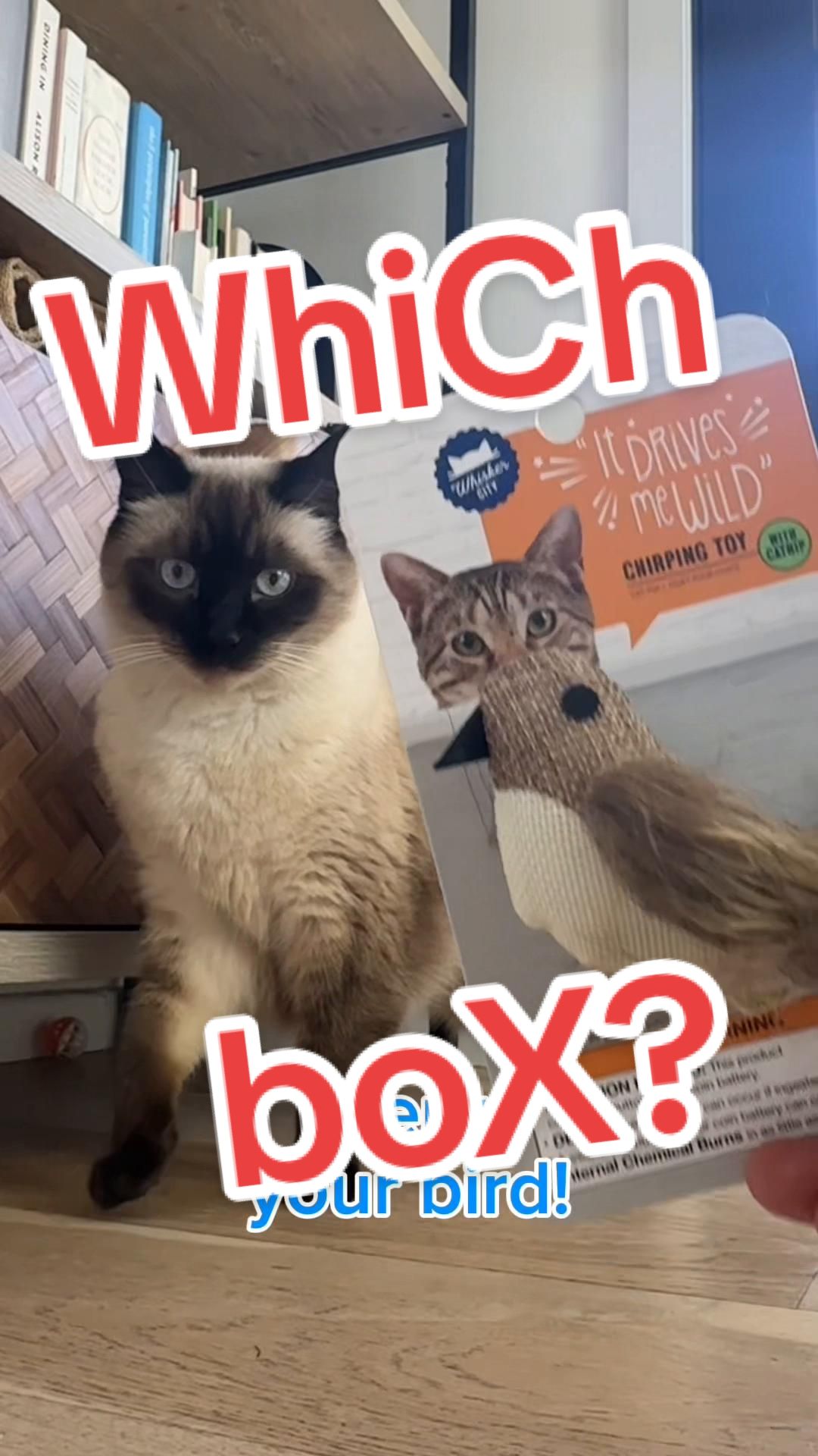 TikTok post by @mervthecat for PetSmart. Caption reads: Merv's @PetSmart autoship came!! But look who else....