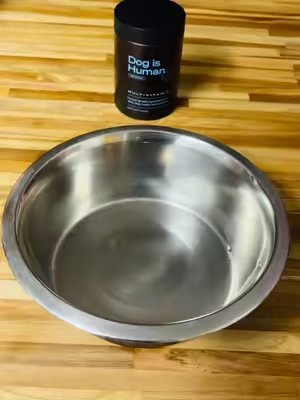 TikTok post by @mooseandkarma for Dog Is Human. Caption reads: Dinner time with @Dog is Human #ad #dogishuman....