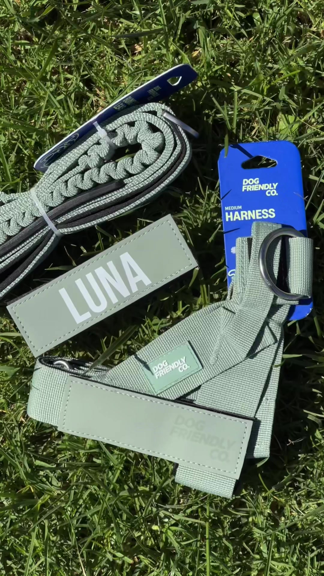 TikTok post by @livluvjo for Dog Friendly Co. Caption reads: @dogfriendlyco  #foryou #dogsoftiktok #staffy #fyp....