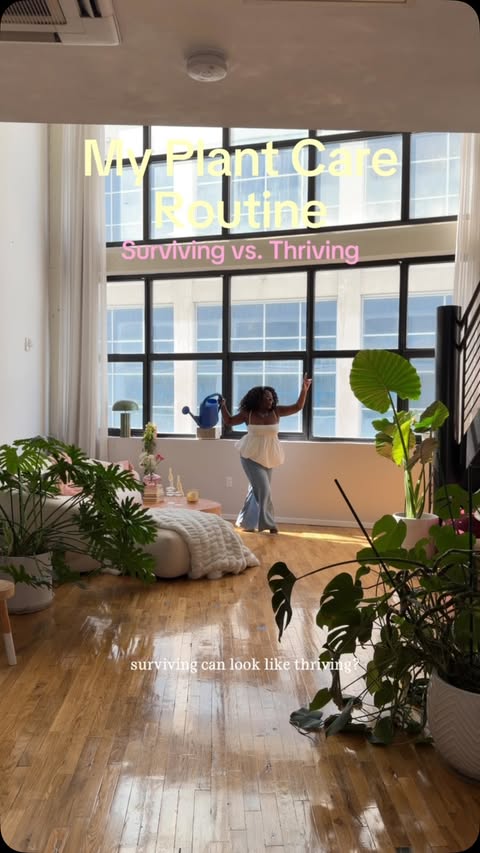 Instagram post by @livenaturallylove for Miracle-Gro. Caption reads: [...] I feed all the plants in my apartment....