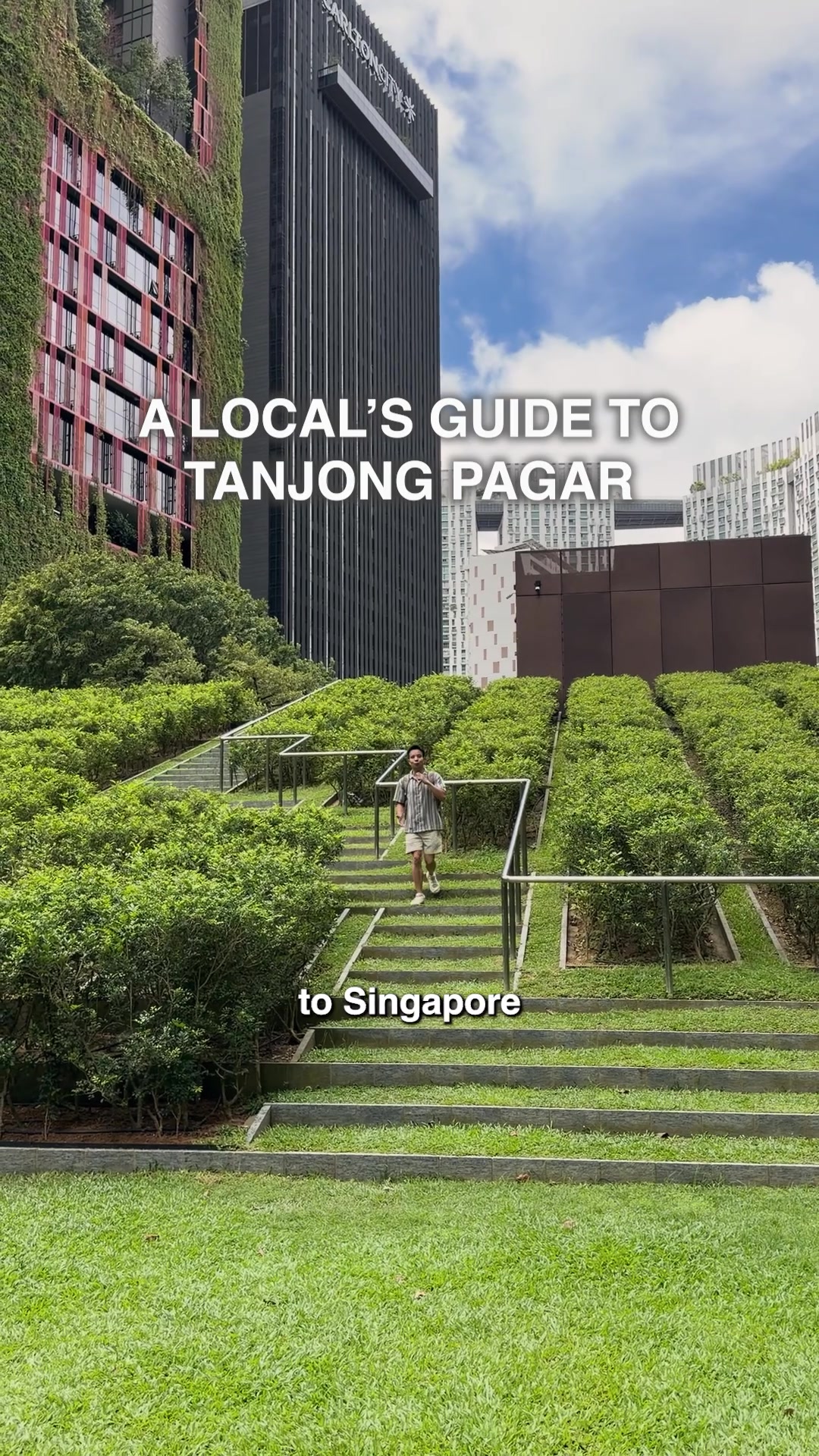 TikTok post by @voyagewithmc for VisitSingapore. Caption reads: Here are some of our top picks from one of the....