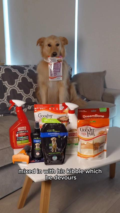 Instagram post by @charlies.castle for Good 'n' Fun. Caption reads: [...] Simba’s essentials!! . @dreambonechews....