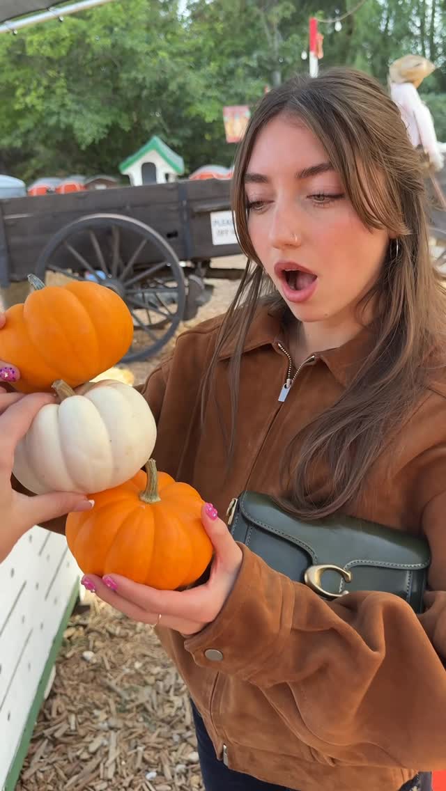 Instagram post by @zoifish for Coach. Caption reads: this is my favorite tabby bag to date (and my....