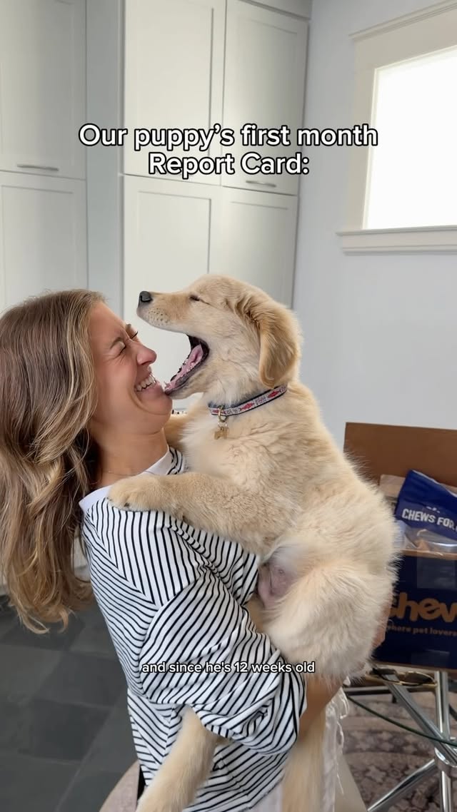 Instagram post by @aubreygavellowood for Chewy. Caption reads: [...] a lot, and we love him so much!! @chewy....