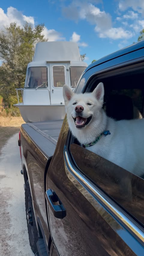 Instagram post by @slowcarfasthome for Jinx. Caption reads: [...] and what’s in your bowl. Grab @thinkjinx at....