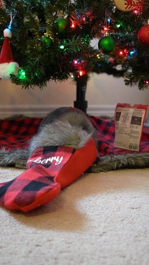 Instagram post by @bluberrythebun for Oxbow Animal Health. Caption reads: Merry Christmas! I had so much fun opening my....