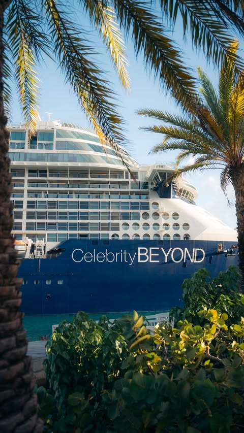 Instagram post by @basil.h for Celebrity Cruises. Caption reads: [...] when you are having fun on Celebrity....