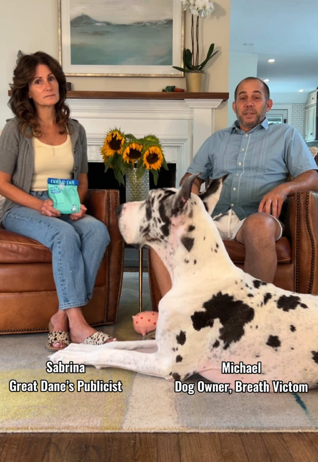 TikTok post by @lovemargot.co for Native Pet. Caption reads: [...] I wanted to tell you all that @Native Pet....