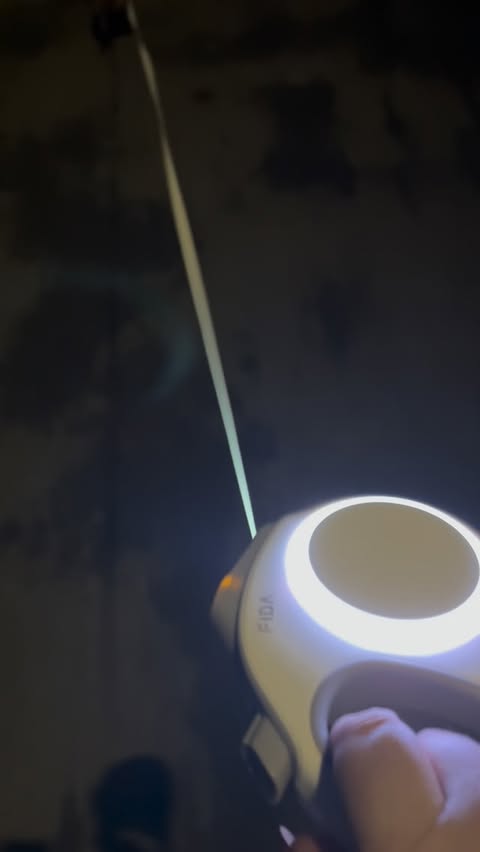 Instagram post by @coco_chanel_sausage for FidaPet. Caption reads: [...] the red-nosed glow pup 🎄✨ 🦌 

@fidapet....