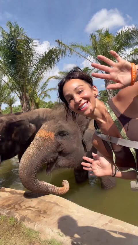 Instagram post by @miss_safiyya_ for Give Me Cosmetics. Caption reads: Seeing the elephants today was honestly the....