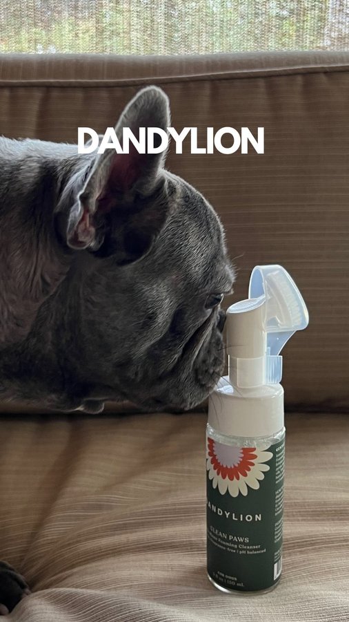 Instagram post by @jaxthefrenchhie for Dandylion. Caption reads: @dandylionworld “Clean Paws” is the perfect [...].