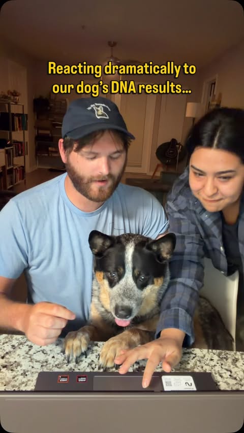 Instagram post by @bruno.blueheeler for Embark. Caption reads: [...] to have a little fun with it 😅 Bruno’s....