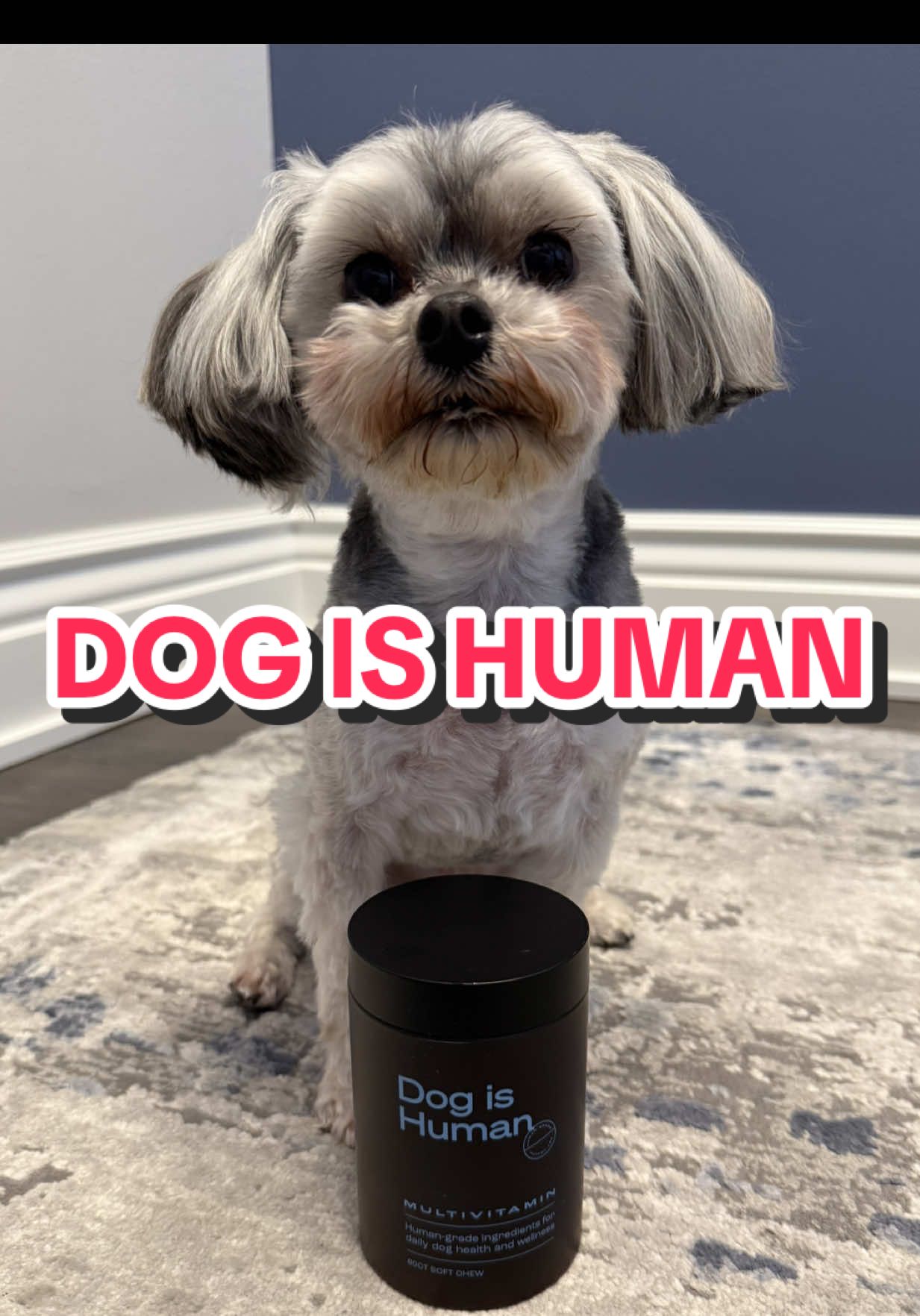 TikTok post by @jaredandozzie for Dog is Human. Caption reads: Subscribe and save with Dog is Human to get 20%....