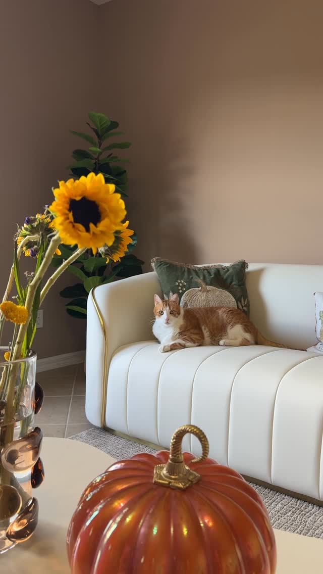 Instagram post by @myusalifee for Homary. Caption reads: My living room glow-up is finally complete ✨
This....