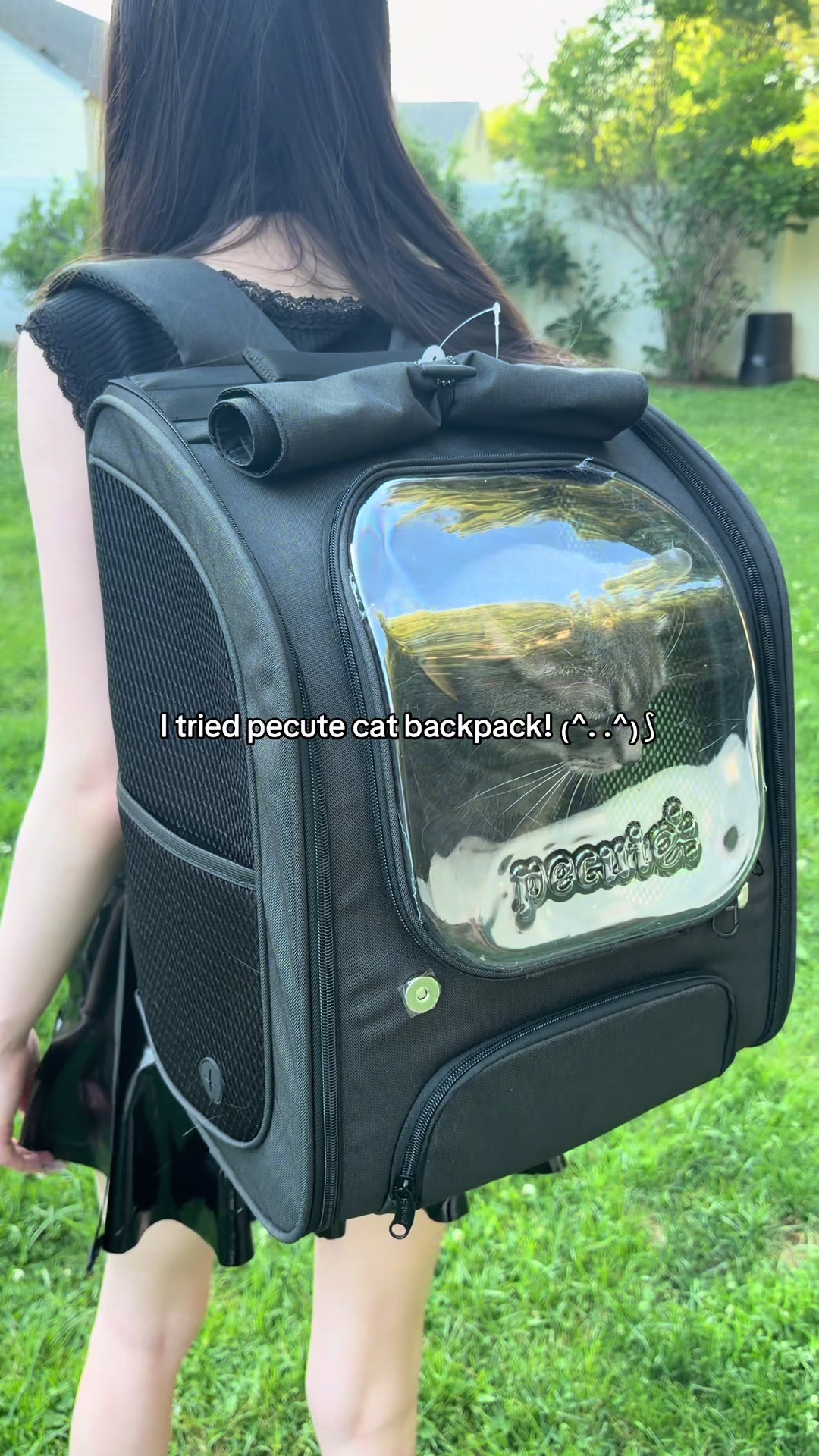TikTok post by @petvampr for Pecute. Caption reads: [...] easy to use. 100000% recommend!! 🐈‍⬛🎒....