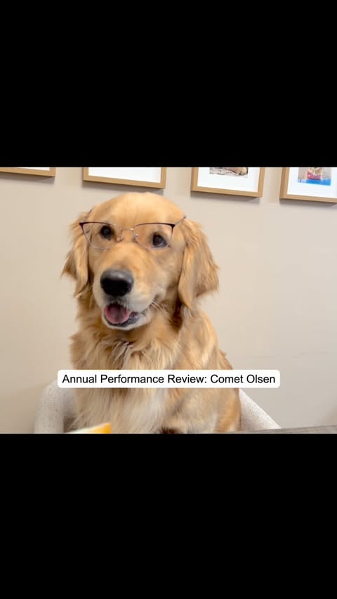 Instagram post by @peachycomet22 for Open Farm Pet. Caption reads: Today was Comet’s Annual Performance Review. Can’t....