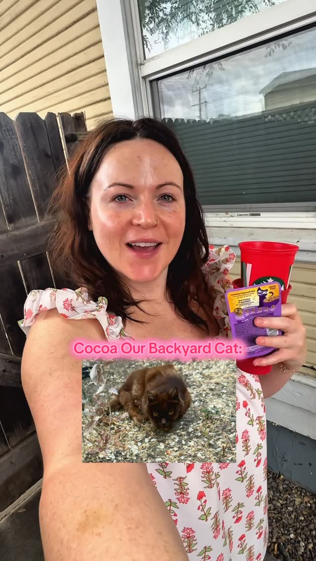 Instagram post by @nicoleleeanne6 for Wellness Pet Food. Caption reads: Our sweet girl is hanging in there 🥹♥️ #catlovers....