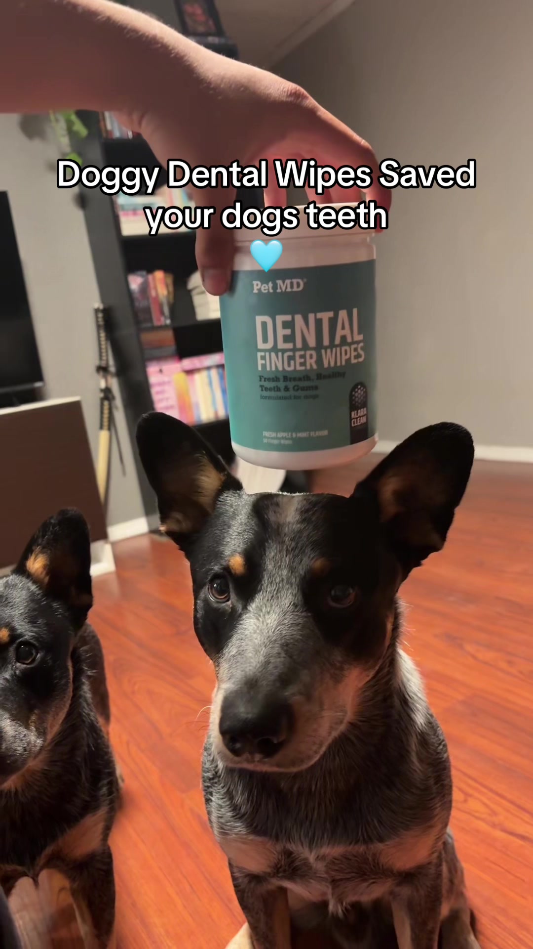TikTok post by @delilahtrujillo0 for PetMD Store. Caption reads: Thank you!!🙈@PetMDStore #dentalwipes....
