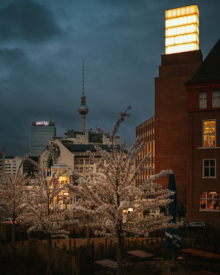 Instagram post by @zerletti for Nikon DACH. Caption reads: some pictures from march - cherry blossoms, city....