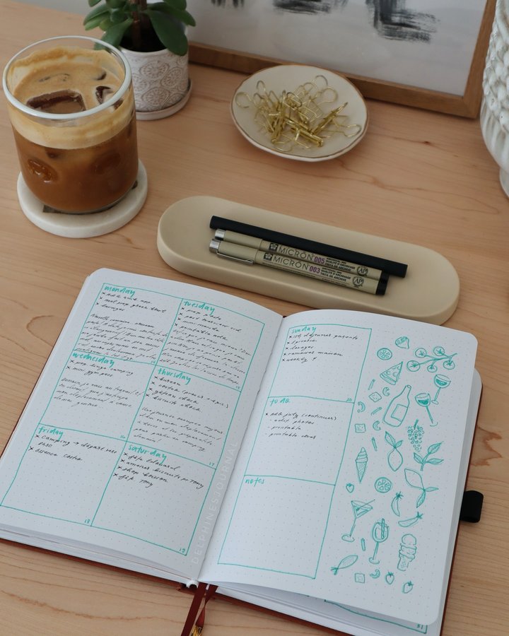 Instagram post by @delphinesjournal for Toms Studio. Caption reads: My last two July weeklies 🍦

Honestly I found....