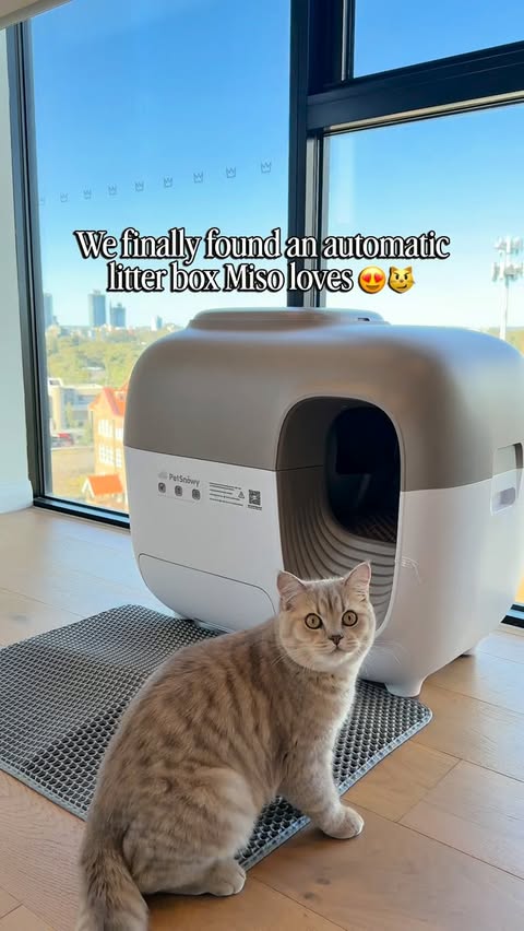 Instagram post by @miso_explores for PetSnowy. Caption reads: [...] about upgrading your litter setup,....