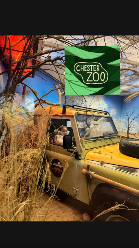 Instagram post by @our_life_as_three for Chester Zoo. Caption reads: [...] We had such a lovely day out at @chesterzoo....