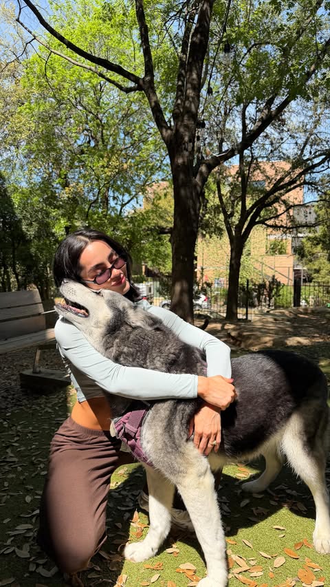 Instagram post by @monetzamora_ for Native Pet. Caption reads: [...] her meals. Lately I’ve been adding....