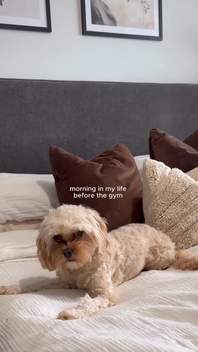 Instagram post by @_aboutnico_ for Women's Best. Caption reads: Coffee, creatine & carbs 💫 || @womensbest have an....