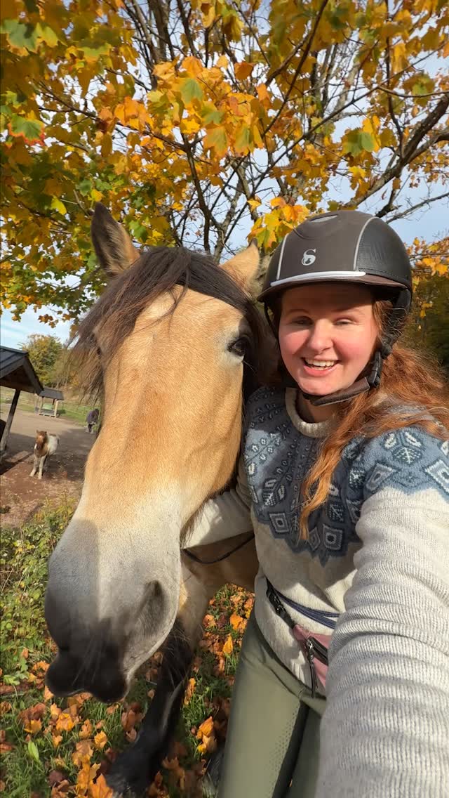 Instagram post by @matildebrandt for Scoot Boots. Caption reads: [...] a forest hack with our new pair of....