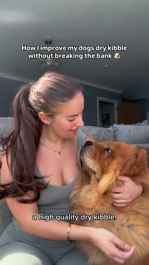 Instagram post by @chowchow_winnie_bertie for Pooch and Mutt. Caption reads: Quality diet on a budget! 🐾

You don’t need to go....