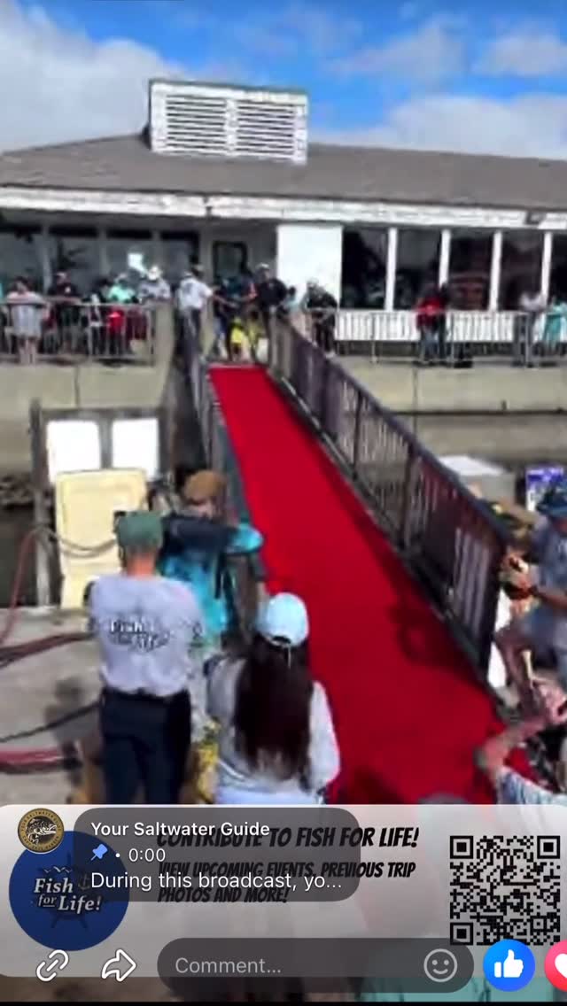 Instagram post by @danawharf for Daiwa. Caption reads: Live from the Red Carpet Ceremony for Fish for....