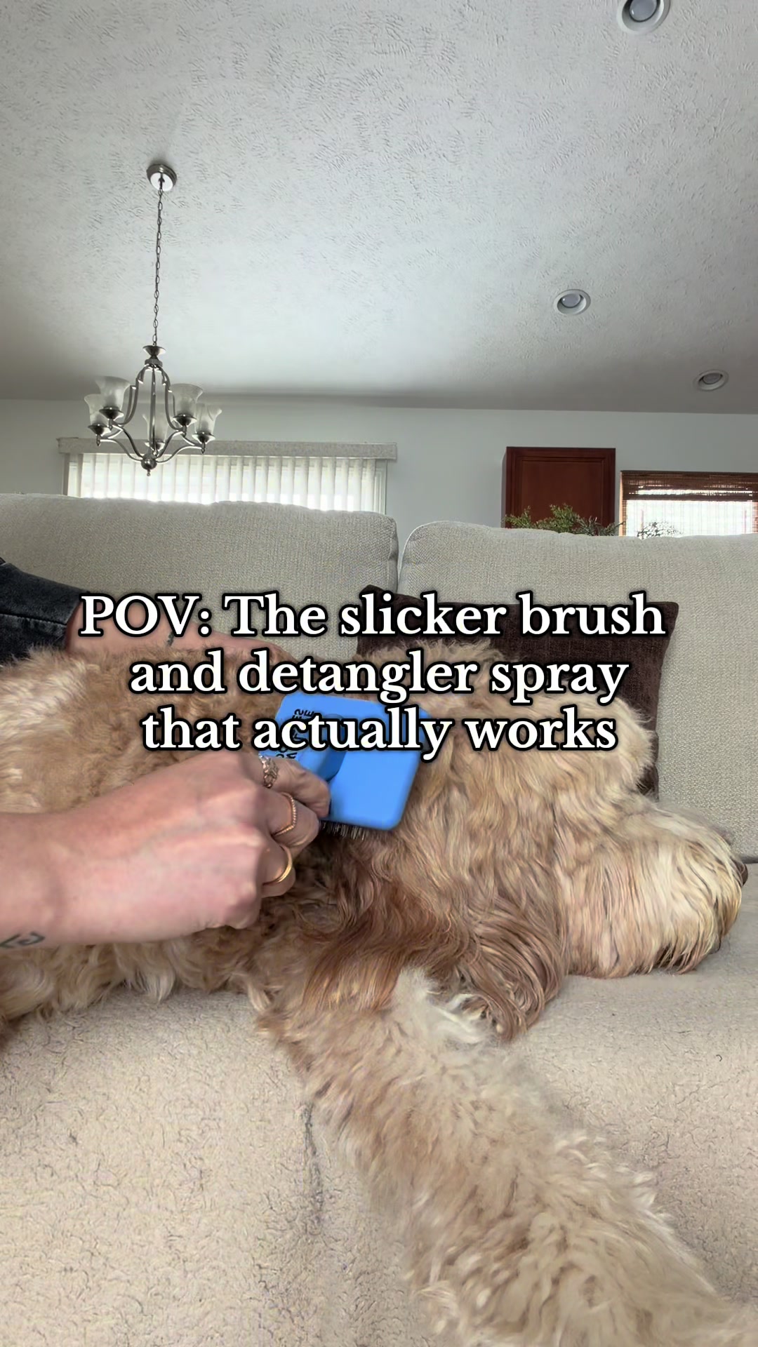 TikTok post by @msjflo for We Love Doodles. Caption reads: [...] brushed by this bundle set from....