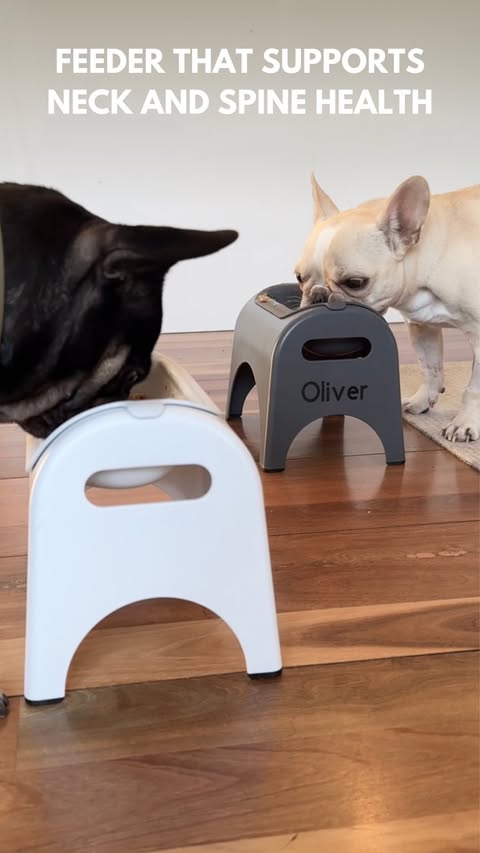 Instagram post by @oliandwilby for EASYEAT. Caption reads: [...] raised dog bowls ever?! 🤎 This is how....