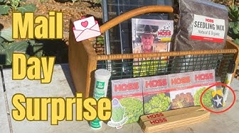 YouTube post by @saltydawghomestead for Farmers Defense. Caption reads: A Big Homestead Update | Hoss Box & A Huge Mail....