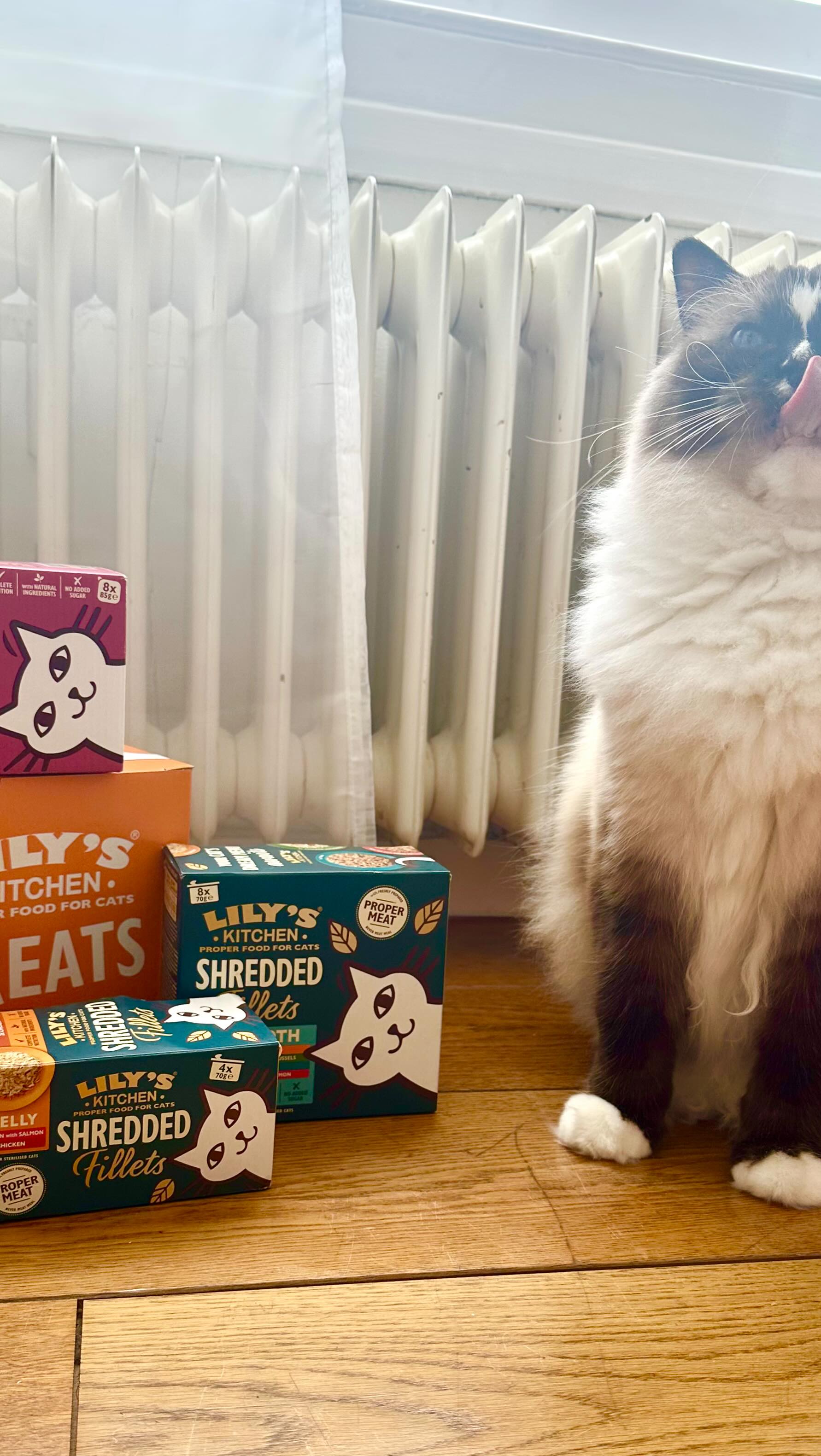 Instagram post by @ardenrose for Lily’s Kitchen. Caption reads: #ad ad A morning in the life of our two VERY....