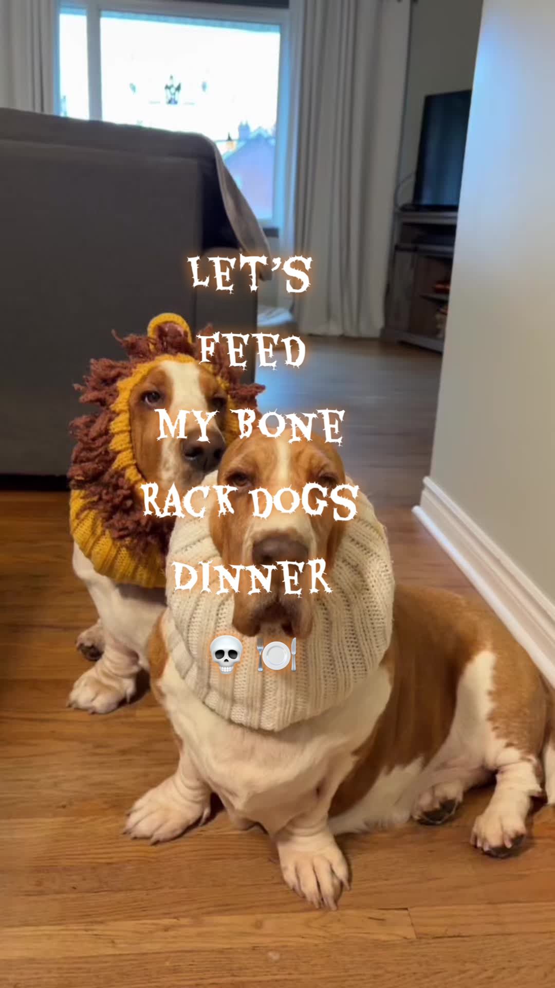 TikTok post by @gussythebasset_ for Open Farm Pet. Caption reads: [...] saves you $25 on your $100 @Open Farm Pet....