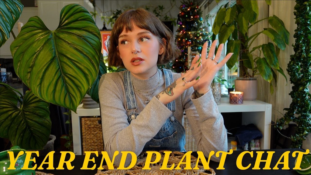 YouTube post by @wildfern for Soltech. Caption reads: year end houseplant wrap up tag! 🪴🎊 wins, trend....