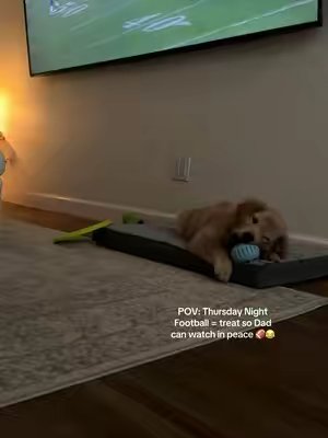 TikTok post by @fisher_thegolden10 for Woof Pet. Caption reads: Thursday Night Football hack: @Woof Pet keeps....
