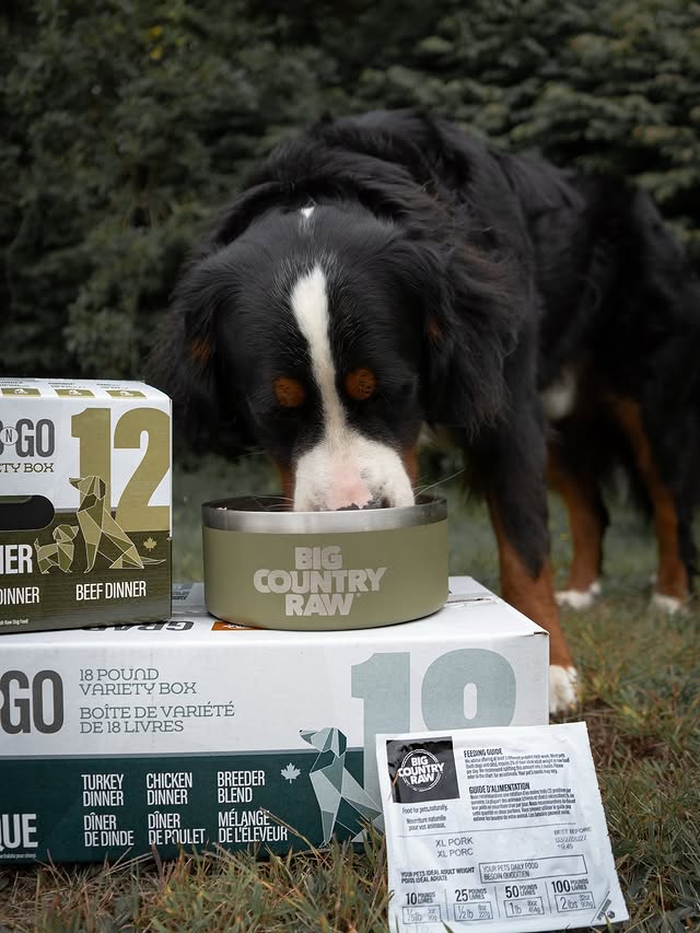 Instagram post by @hoteldogbenny for BIG COUNTRY RAW. Caption reads: [...] and the Grab n Go and XL boxes from....