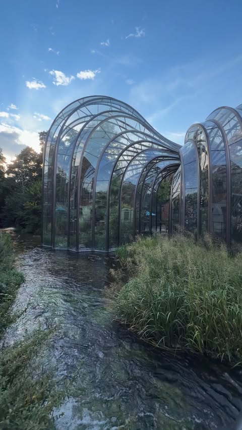 Instagram post by @when_in_winchester for Bombay Sapphire. Caption reads: Aperitivo evenings @homeofbombay @bombaysapphireuk....