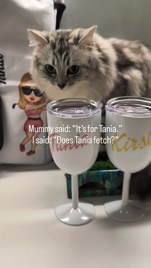 Instagram post by @artemiswuffovna for Callie Gifts. Caption reads: Missy here. Puma kitten. Celebration supervisor.....
